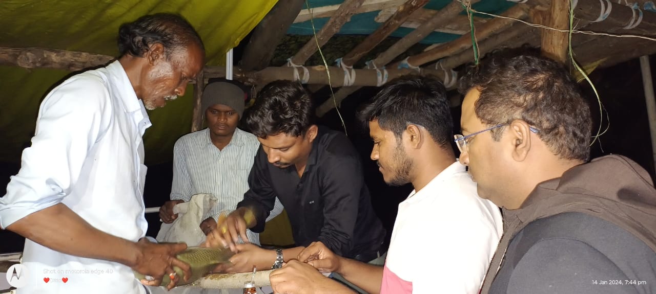 Induced Breeding Of IMC At Dhamdi Tola Under STRC Project